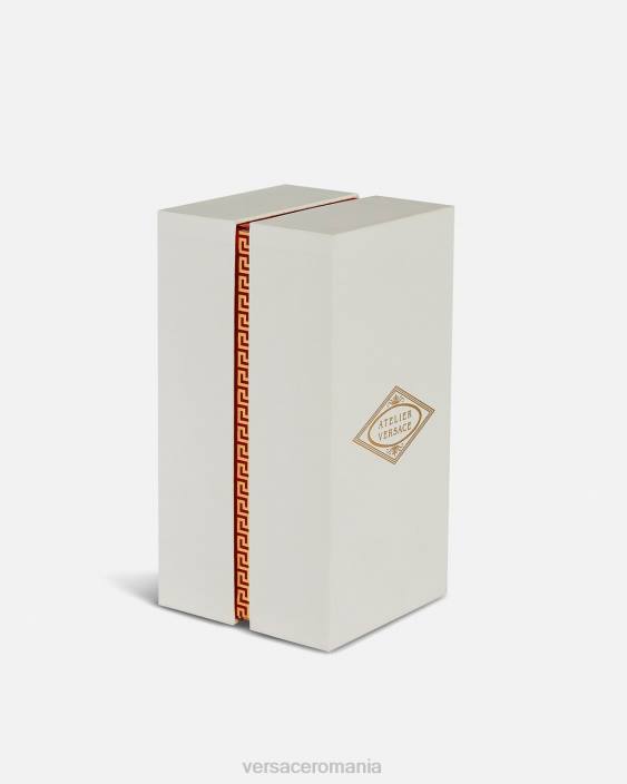 galben jasmin au soleil edp 100 ml Versace femei accesorii 40L61009