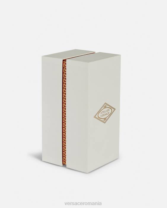 roz eclat de rose edp 100 ml Versace femei accesorii 40L61010