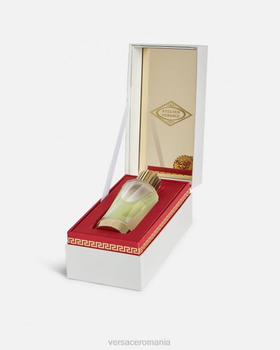 verde cedrat de diamant edp 100 ml Versace femei accesorii 40L61012